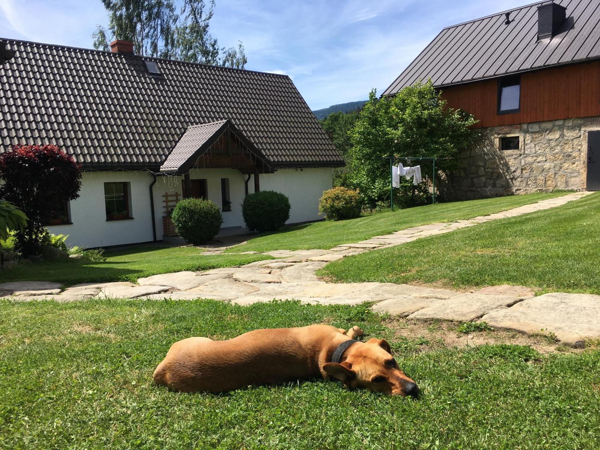 Agroturystyka Ostoja Polanica-Zdrój Zewnętrze zdjęcie